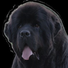 Dernières nouvelles